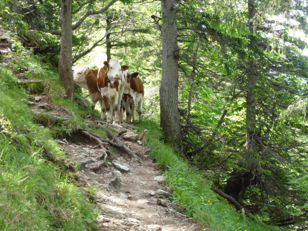 Ferienwohnungen Gaestehaus Sonnenkreis โรพอลดิง ภายนอก รูปภาพ